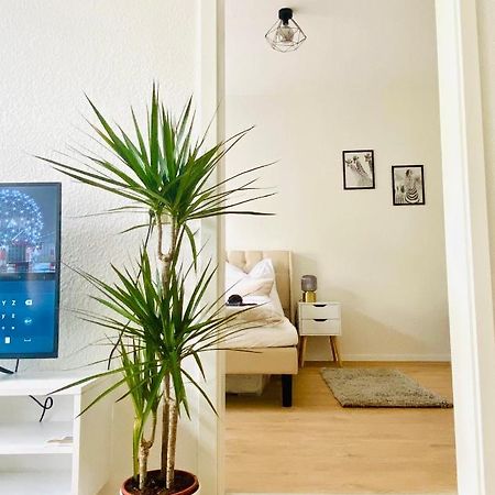Stilvolles Apartment In Zentraler Lage - Smart-Tv, Queensize-Bett, Altbaustil, Kueche In City-Naehe エアフルト エクステリア 写真